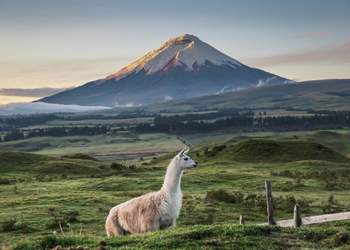 Ecuador